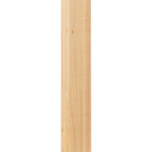 Macrocarpa