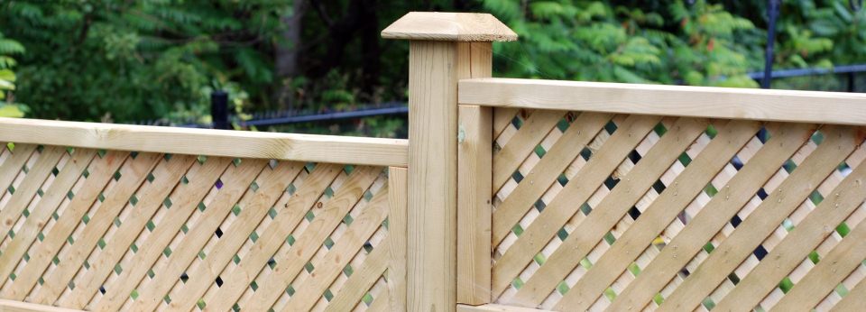 Fence/Trellis Capping