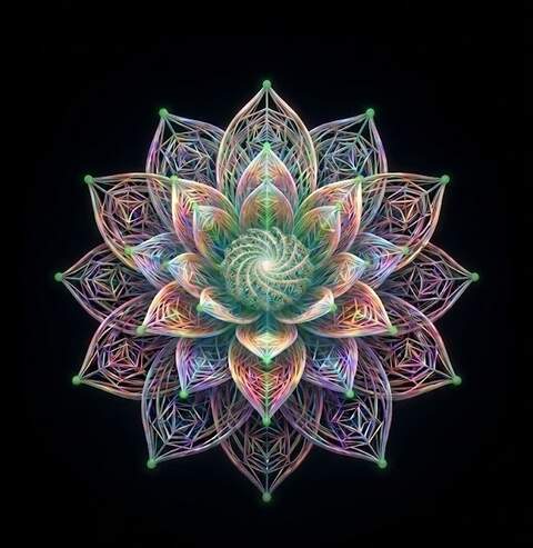 The psychedelicbloom logo, a lotus mandala