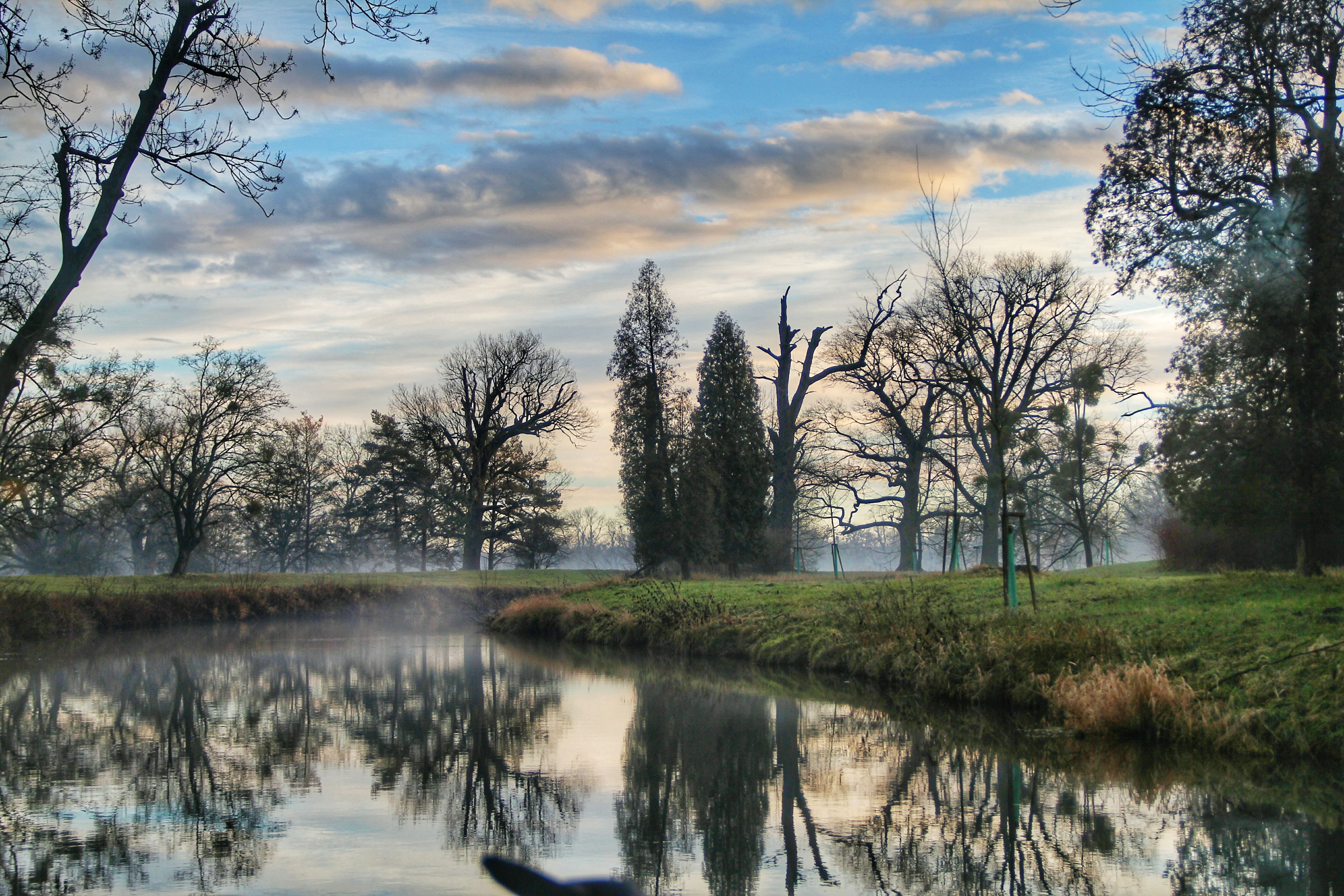 A serene misty river winding through a forest, evoking reflection and integration