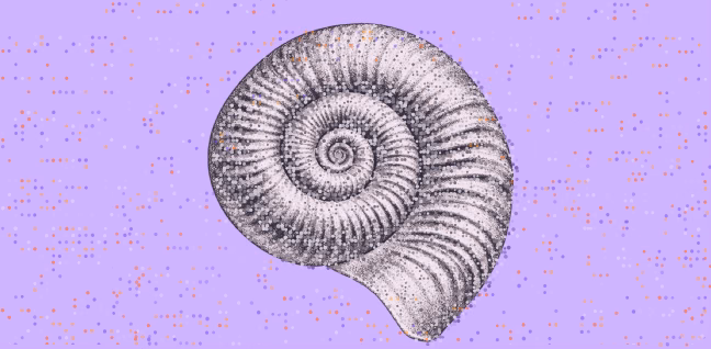 Black and white detailed illustration of a spiral shell on a light purple background with small orange and purple geometric dots scattered around.
