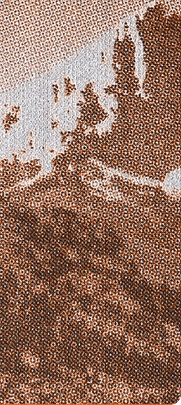 Close-up of a textured surface with a pattern of small circular indentations in varying shades of brown and beige, creating an abstract, organic design.