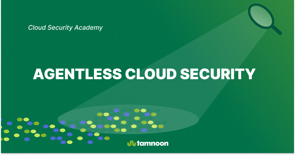 Agentless Cloud Security