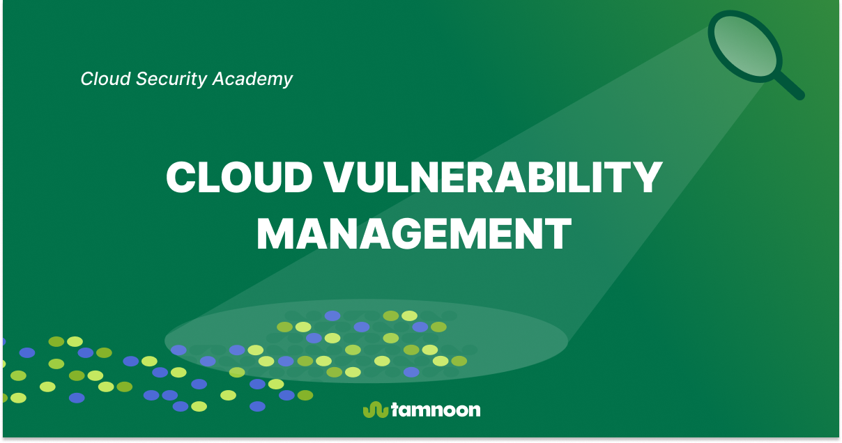 Cloud Vulnerability Management