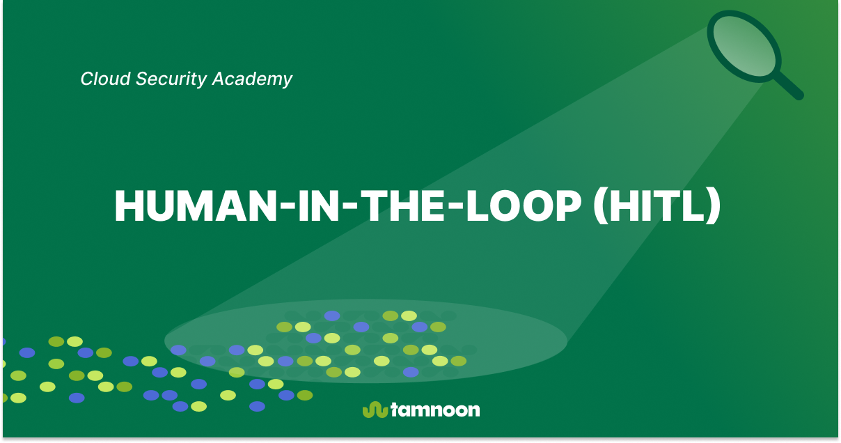 Human-in-the-Loop (HITL)
