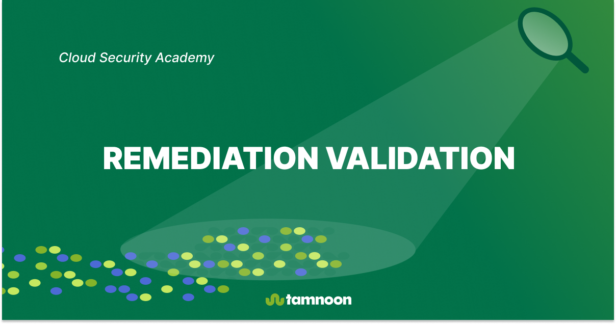 Remediation Validation