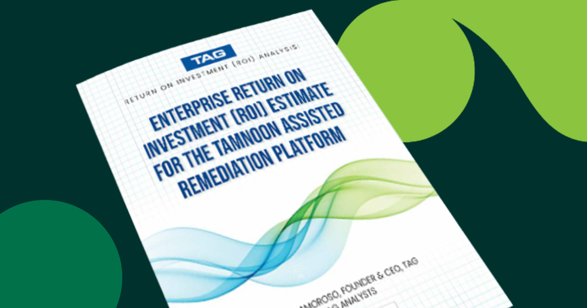 Whitepaper: ROI Impact of Cloud Remediation on Your Organization
