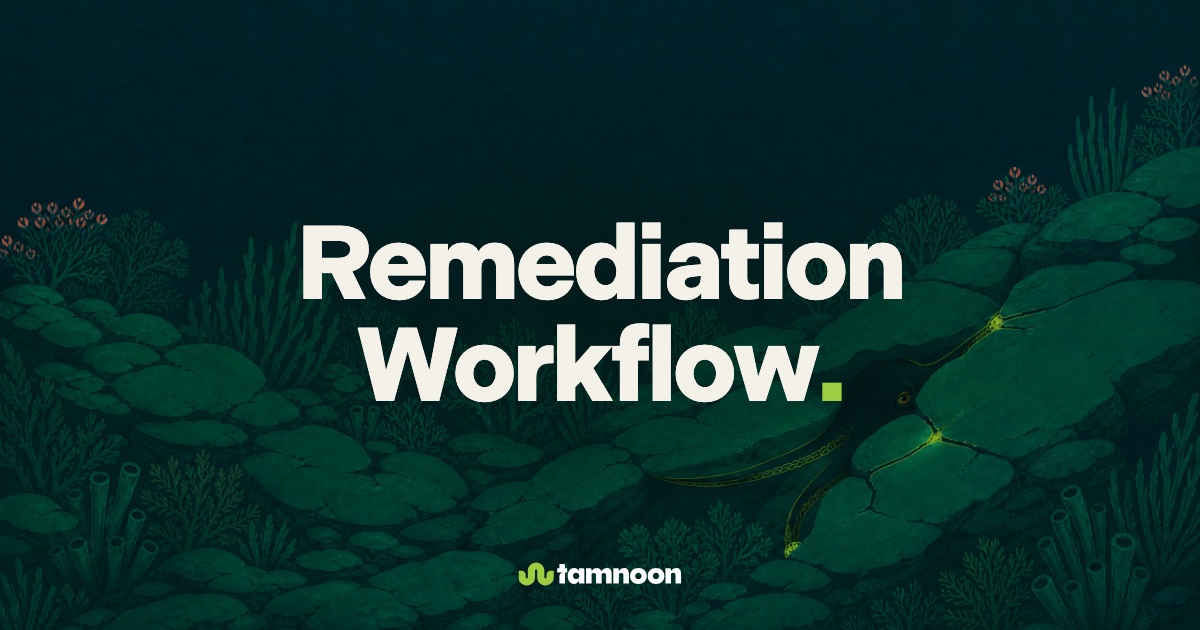 Remediation Workflow