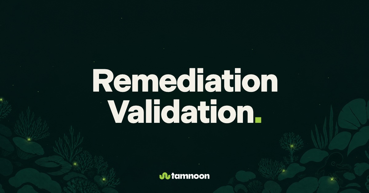 Remediation Validation