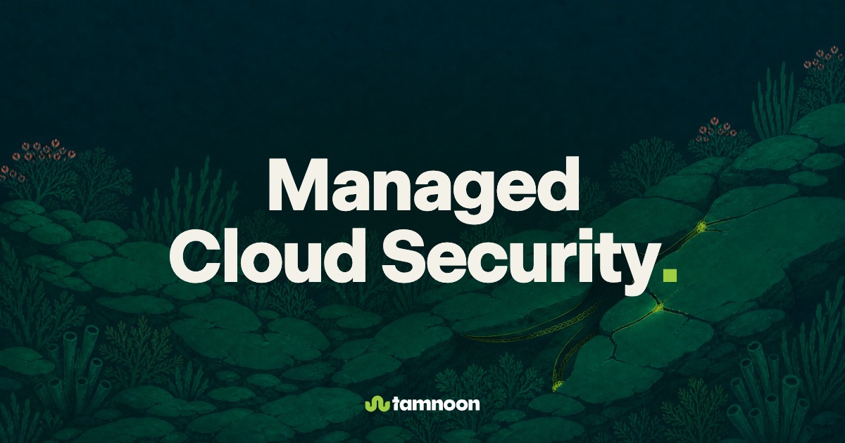 Managed Cloud Security