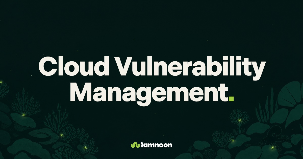 Cloud Vulnerability Management
