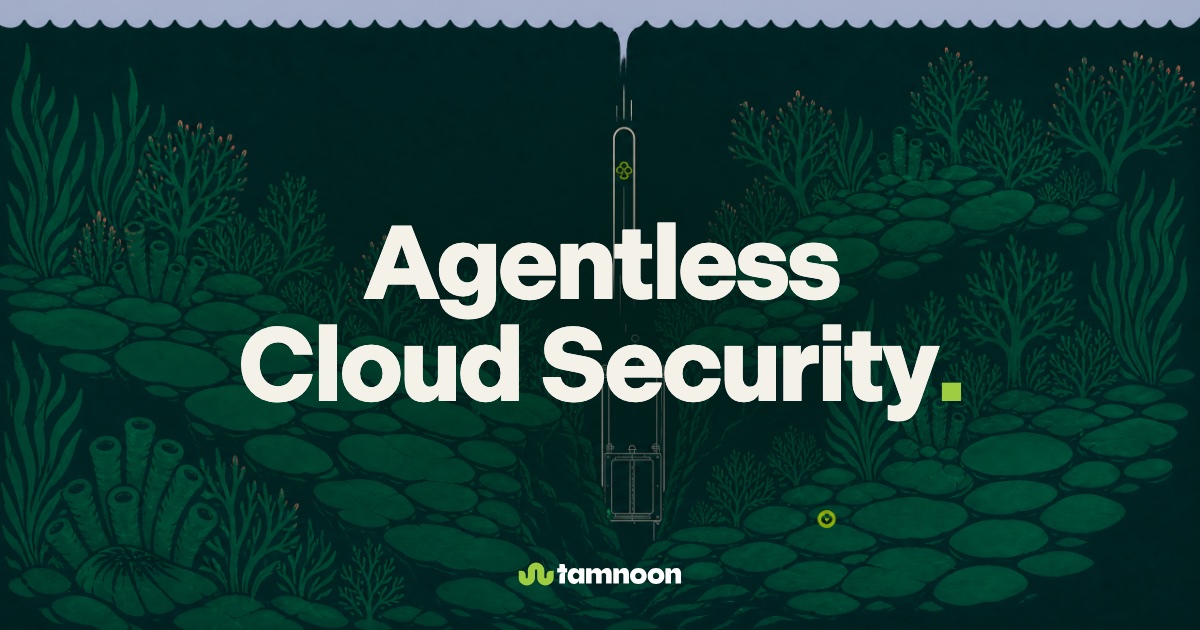 Agentless Cloud Security