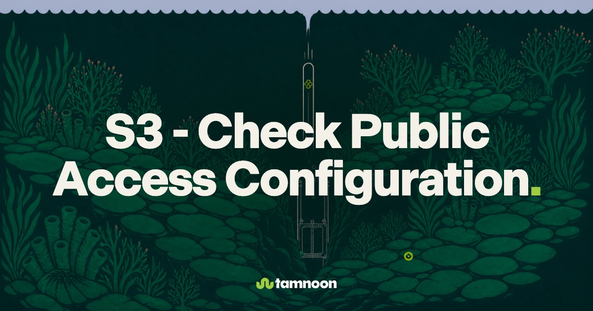 S3 - Check Public Access Configuration