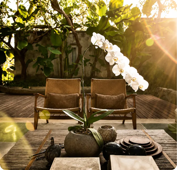Orchids and rattan chairs on the garden deck
