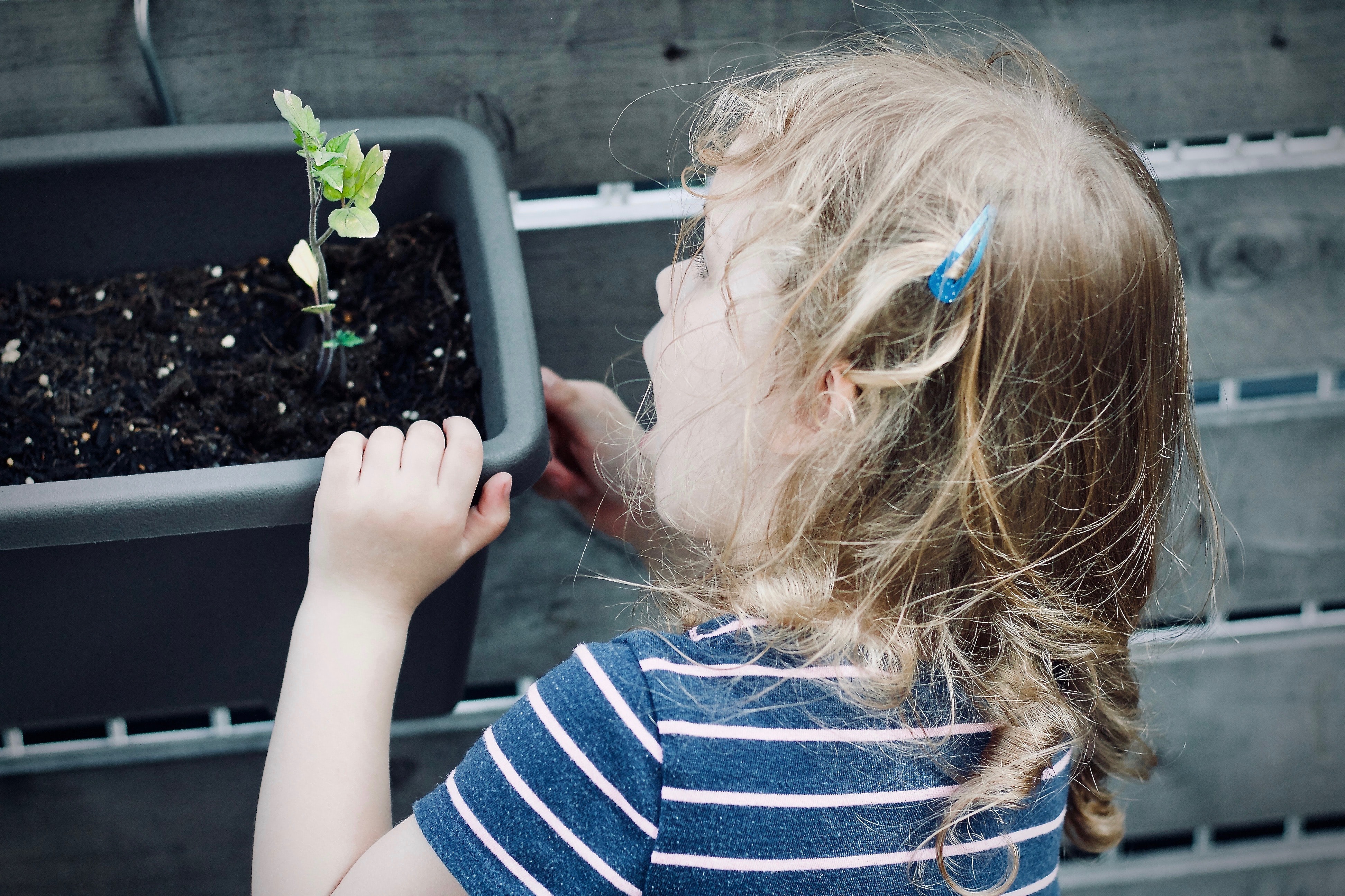 How to ensure the Sustainable Skills Development for children with Neurodiversity