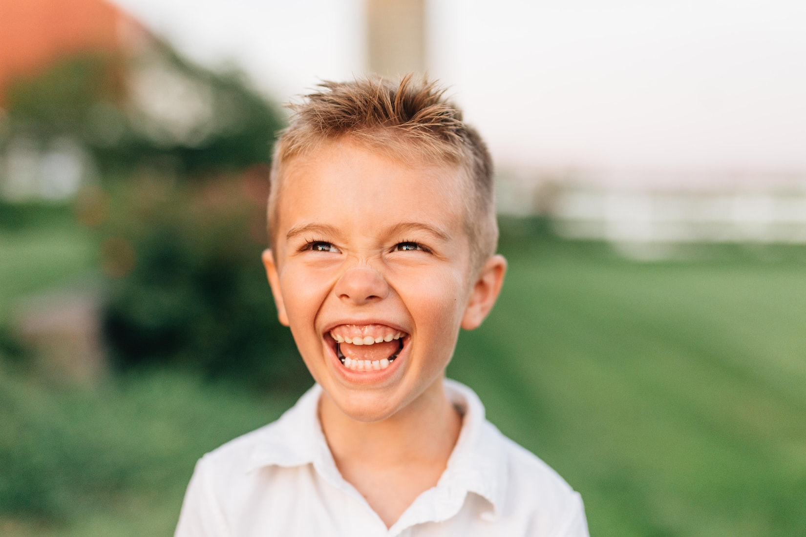 Supporting A Young Child with Possible Learning Differences : How Is Alfie Doing in School? 