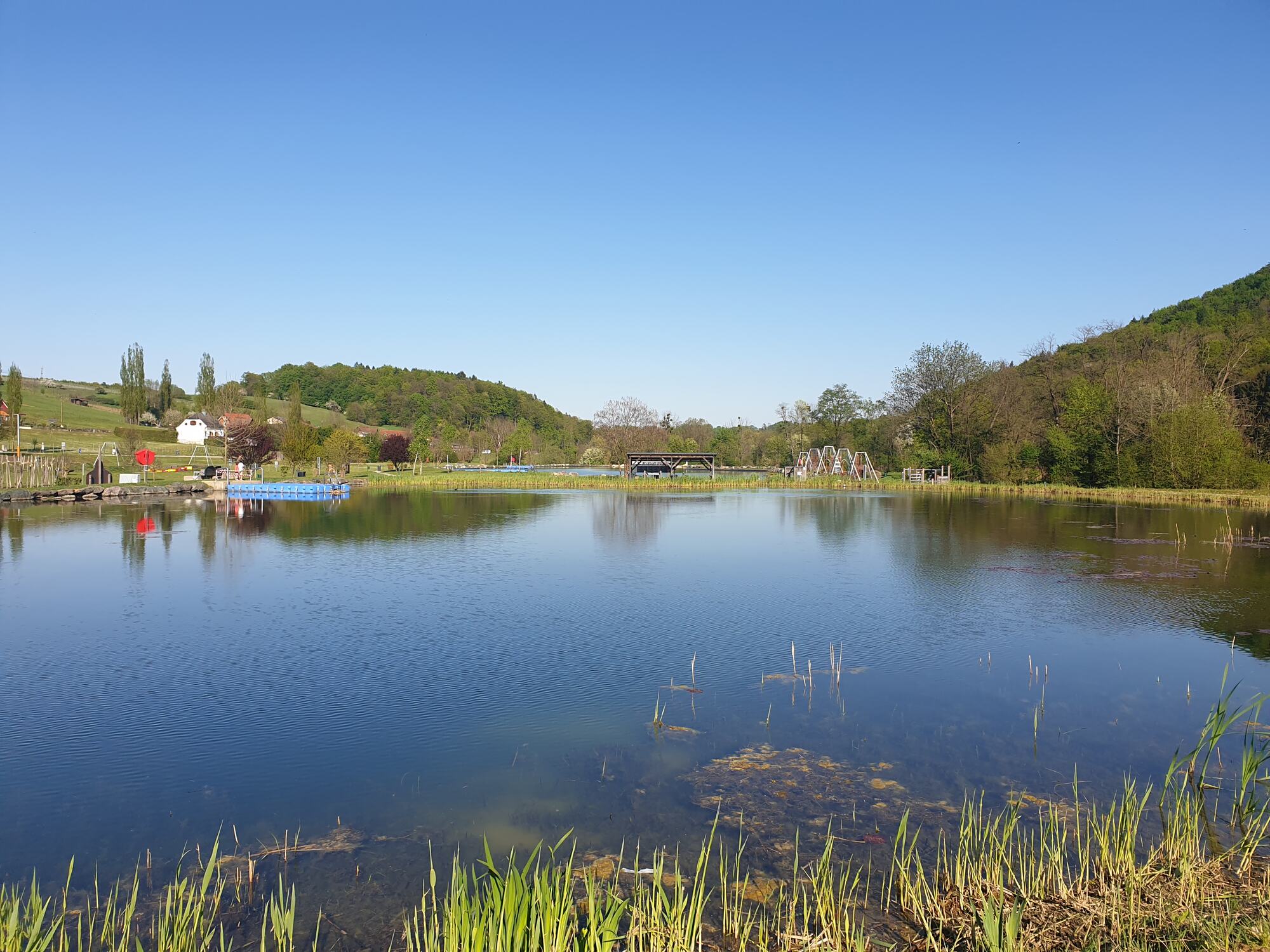 Teich in der Umgebung von Gamlitz