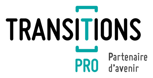 Transitions Pro