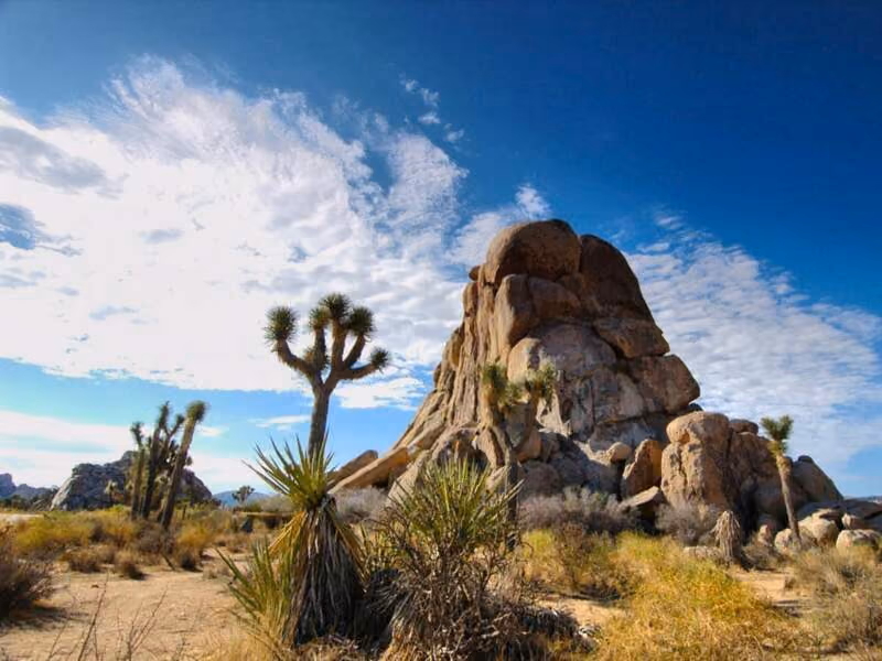 Histoire de la communication : Tout a démarré en californie