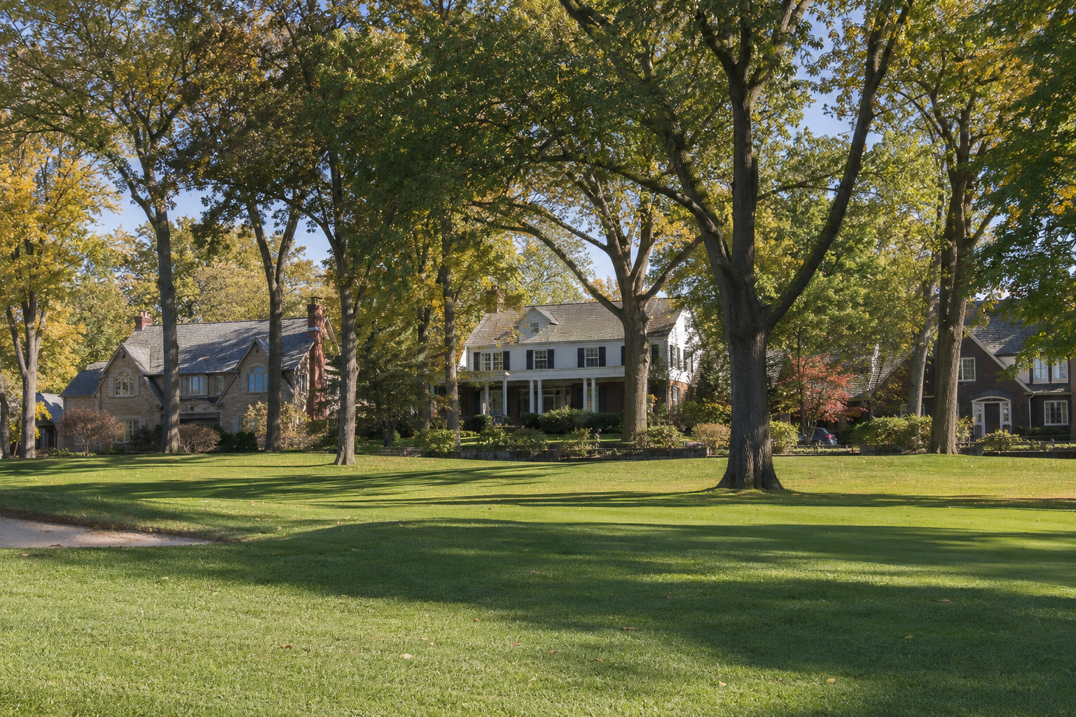 Oak, Walton, and Elm