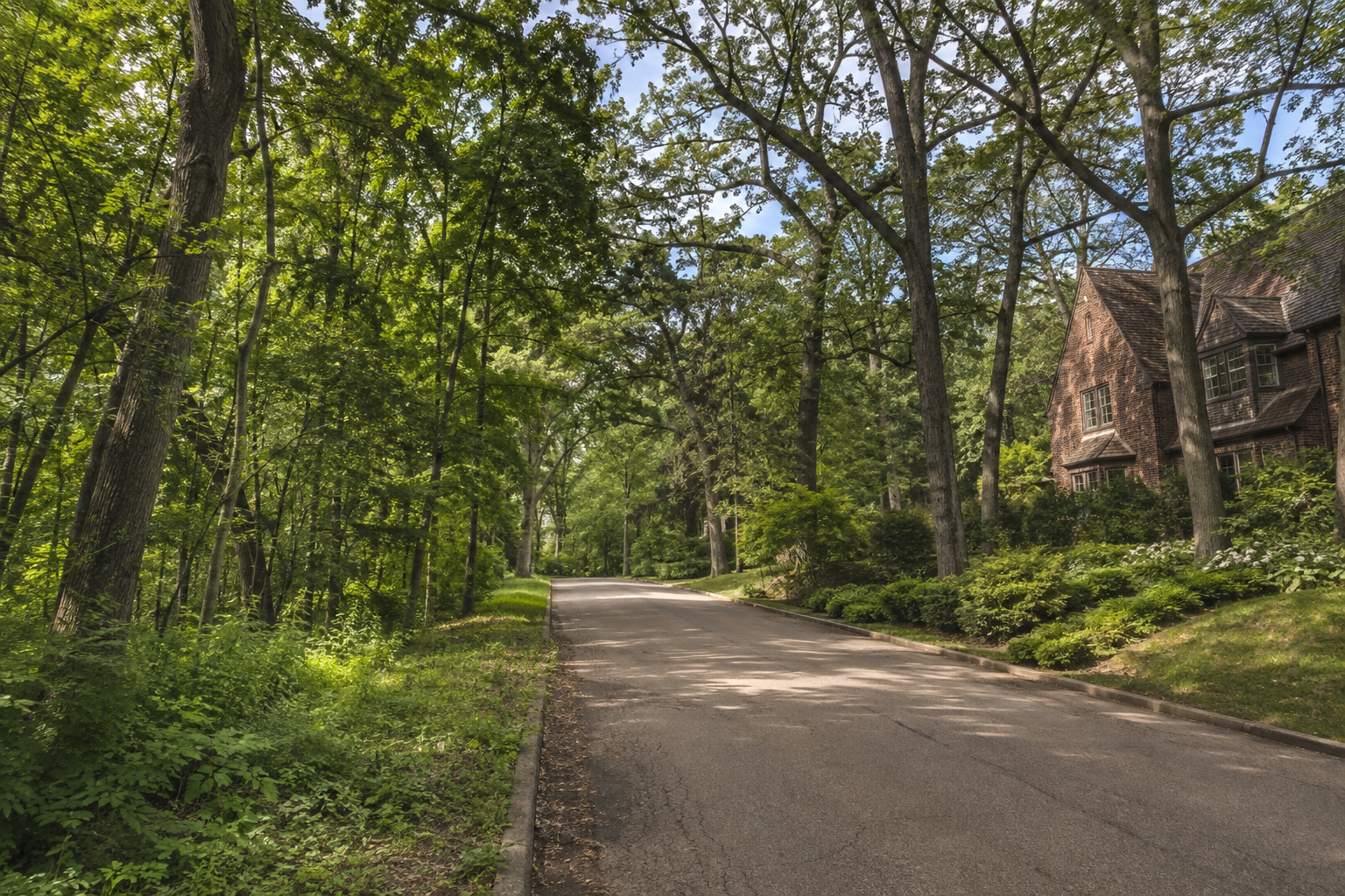 Astor Street District