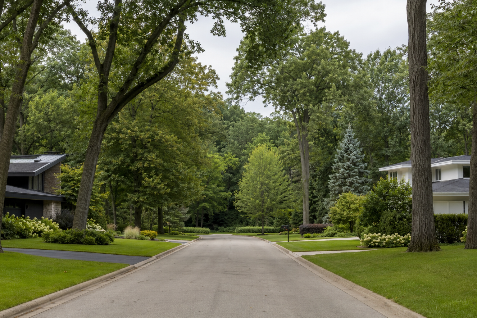 Oak, Walton, and Elm