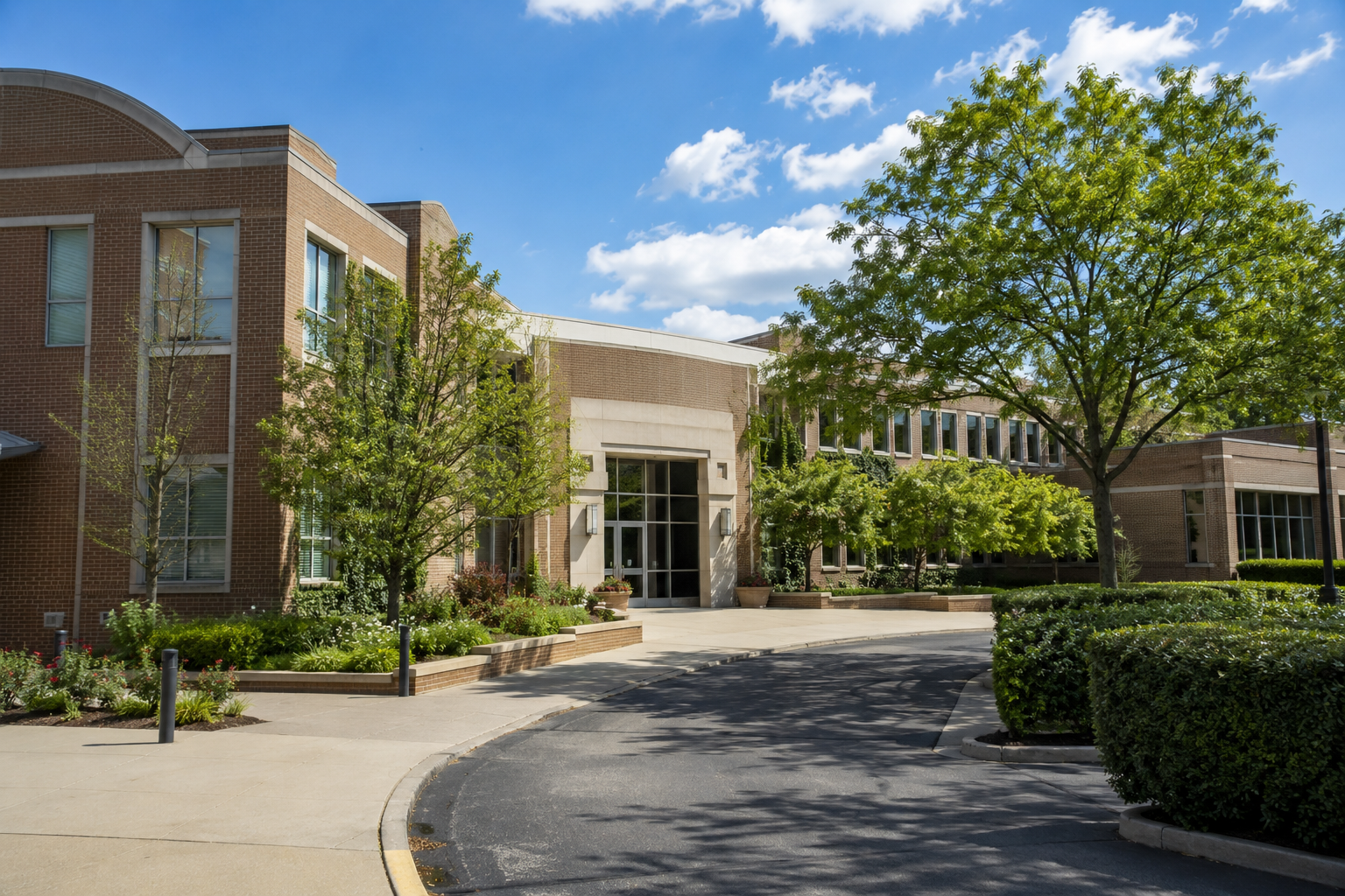 Chicago Higher Education