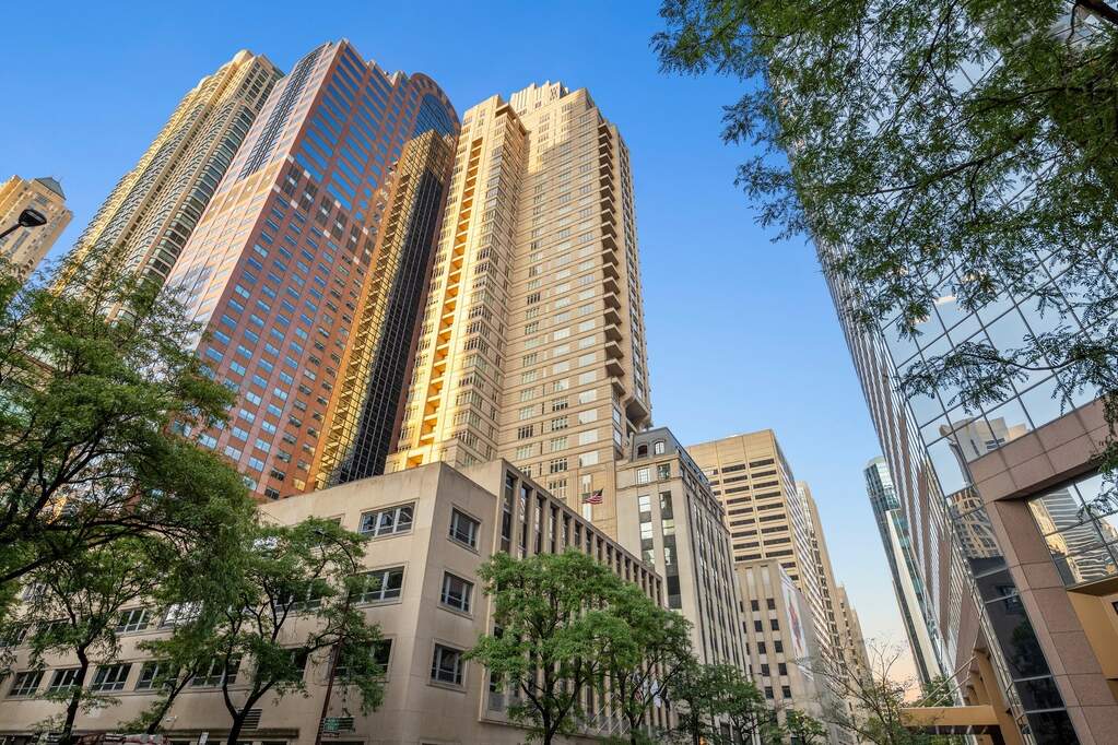 118 E Erie Street #20A property in Chicago