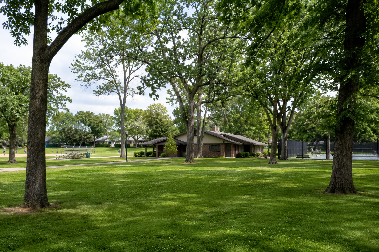 The Lakefront, Parks, and Culture