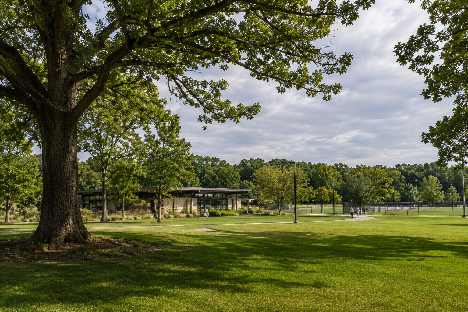 The Lakefront, Parks, and Culture