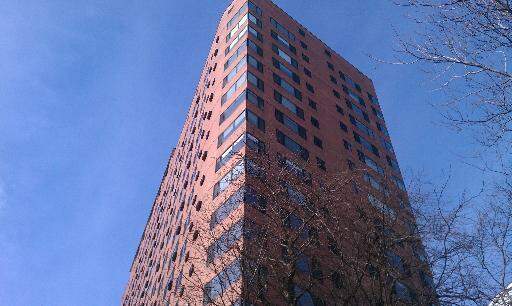3100 N Lake Shore Drive #1813 property in Chicago