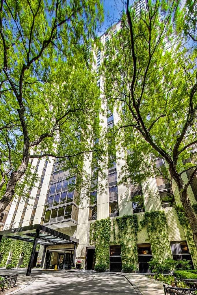 100 E Bellevue Place #11C property in Chicago