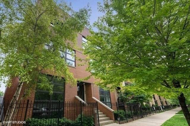 2213 W Wabansia Avenue #1A property in Chicago