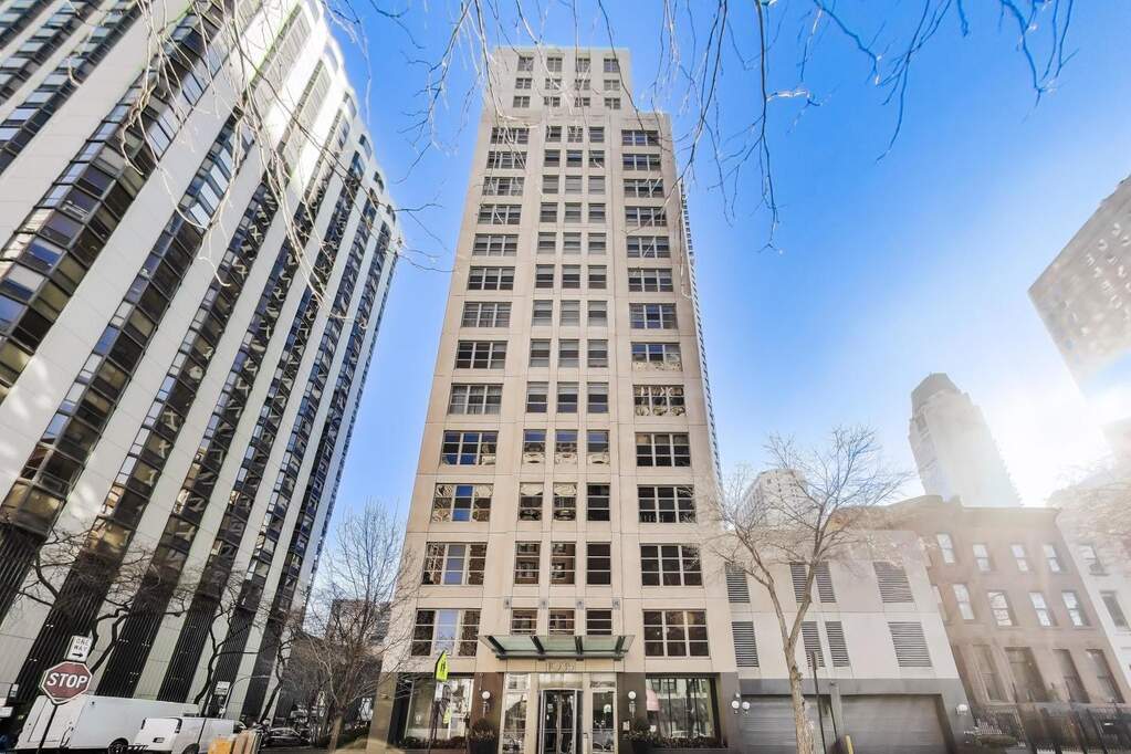 1035 N Dearborn Street #14W property in Chicago