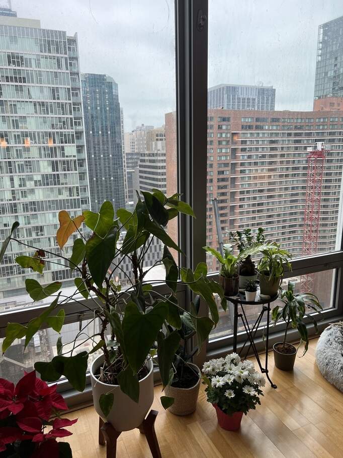 Luxury living space with panoramic Chicago views