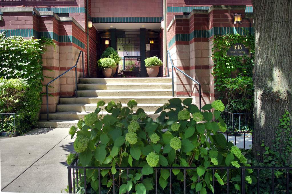 1616 N Hudson Avenue #9 property in Chicago