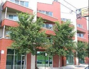 1636 N Bosworth Avenue #3N property in CHICAGO