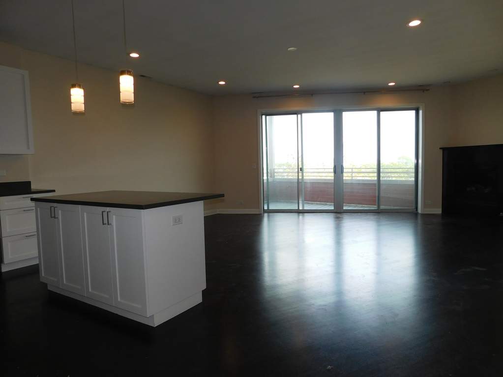 1652 N Bosworth Avenue #4N property in Chicago
