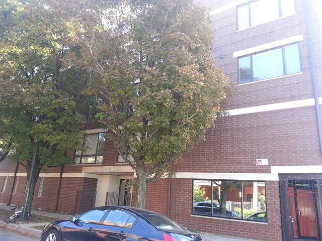 2357 W School Street #3E property in Chicago