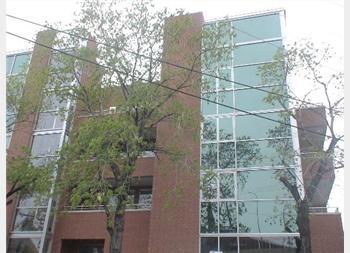 1635 W Cortland #102 property in CHICAGO