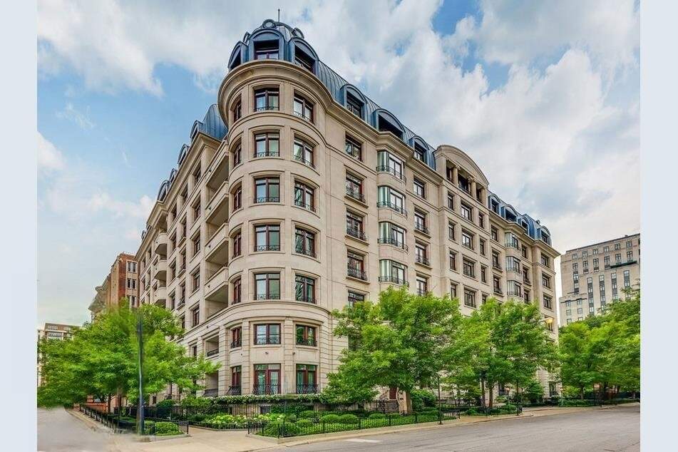 65 E Goethe Street #4N property in Chicago