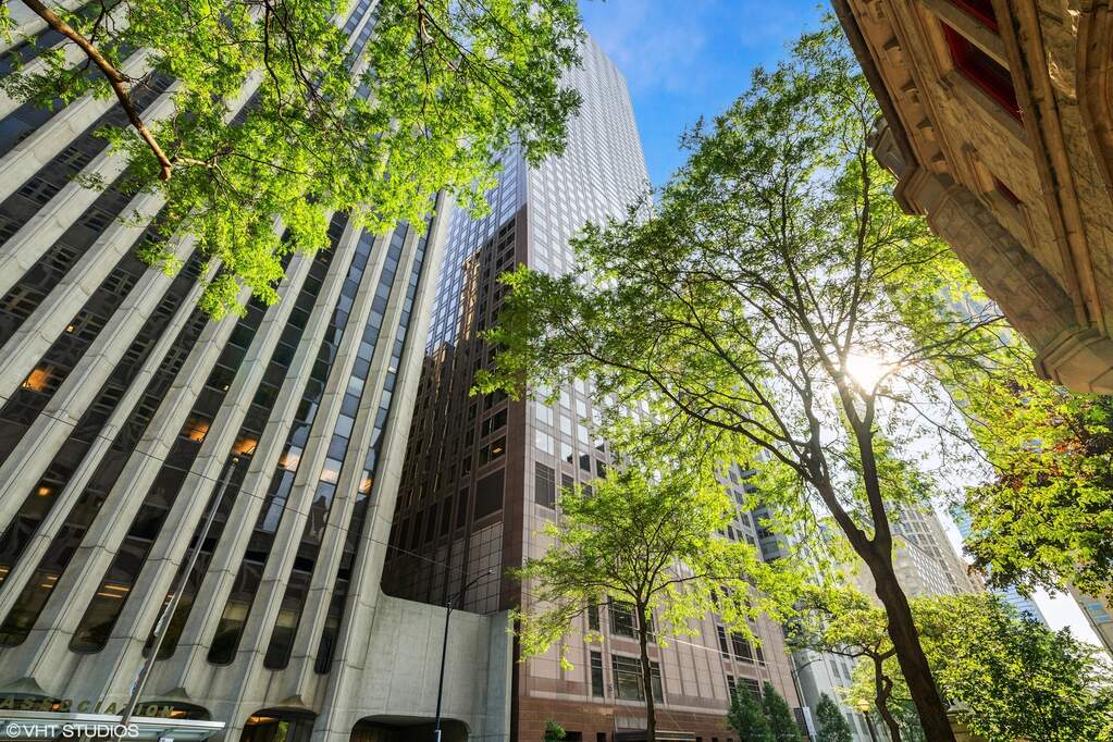 161 E Chicago Avenue #53H property in Chicago