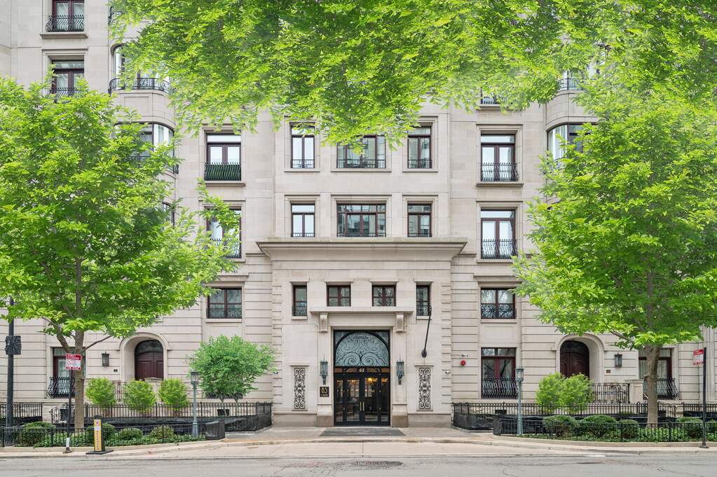 65 E Goethe Street #3N property in Chicago