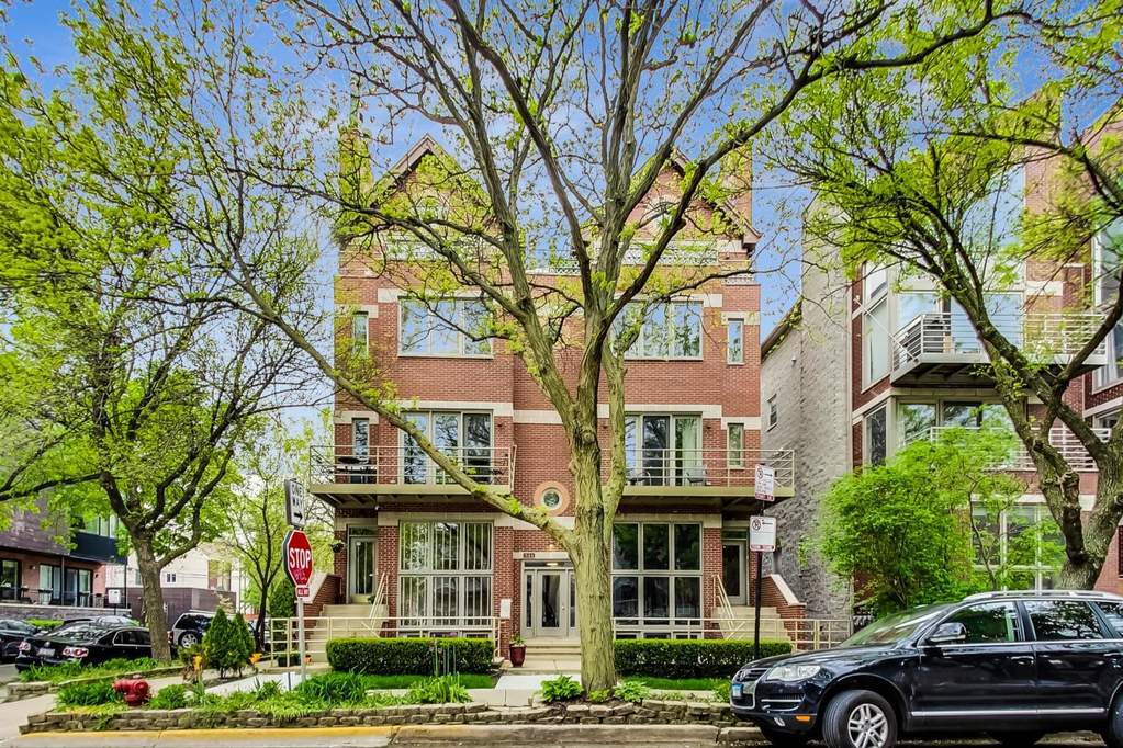 848 N Marshfield Avenue #3 property in Chicago