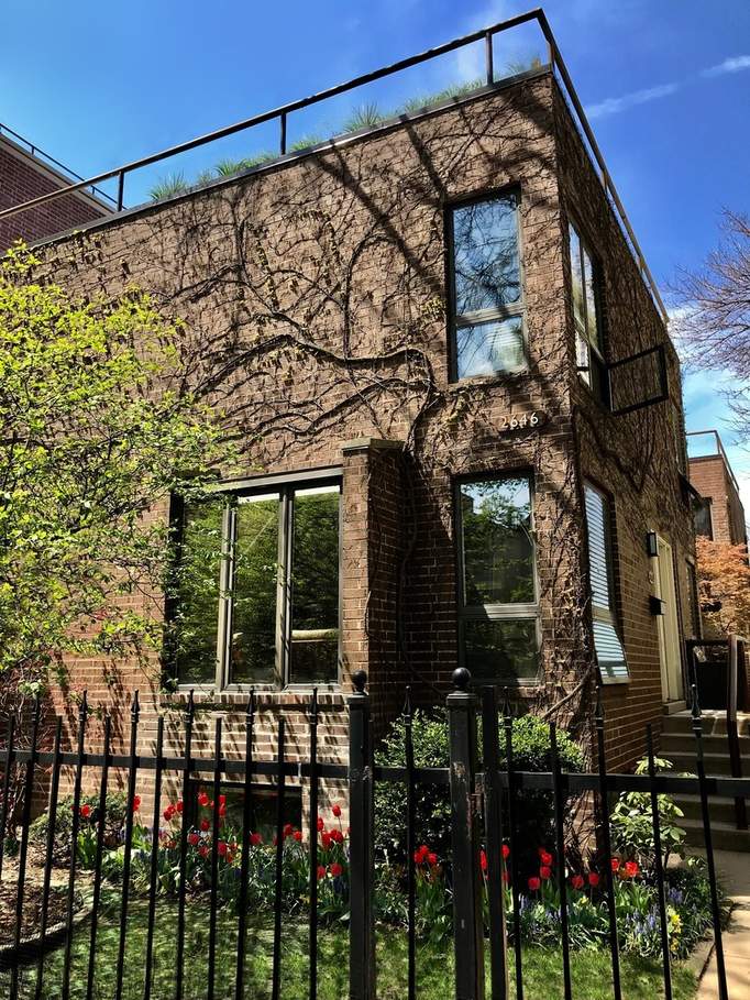 2646 N Wayne Avenue #A property in Chicago