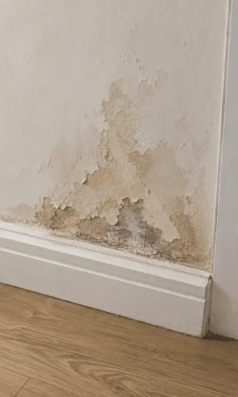 Camera view: water damage being filmed