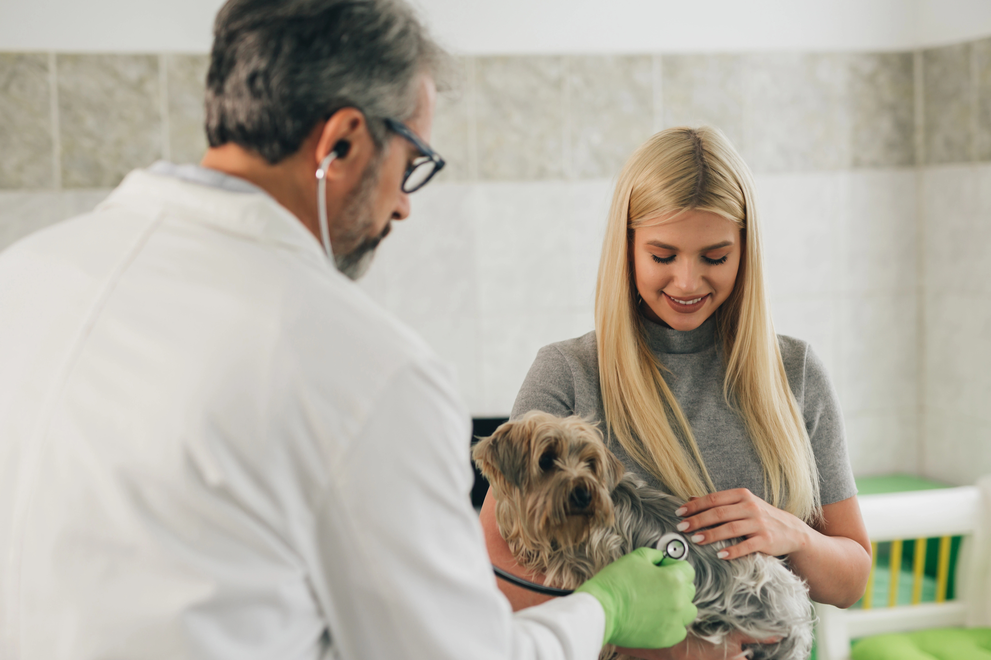 Veterinarian with a stethoscope examining a small dog held by a smiling woman