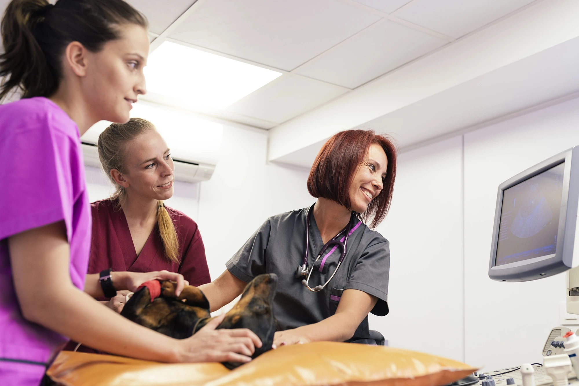 The Future of Veterinary Practice Ownership: Trends Shaping 2026 and Beyond