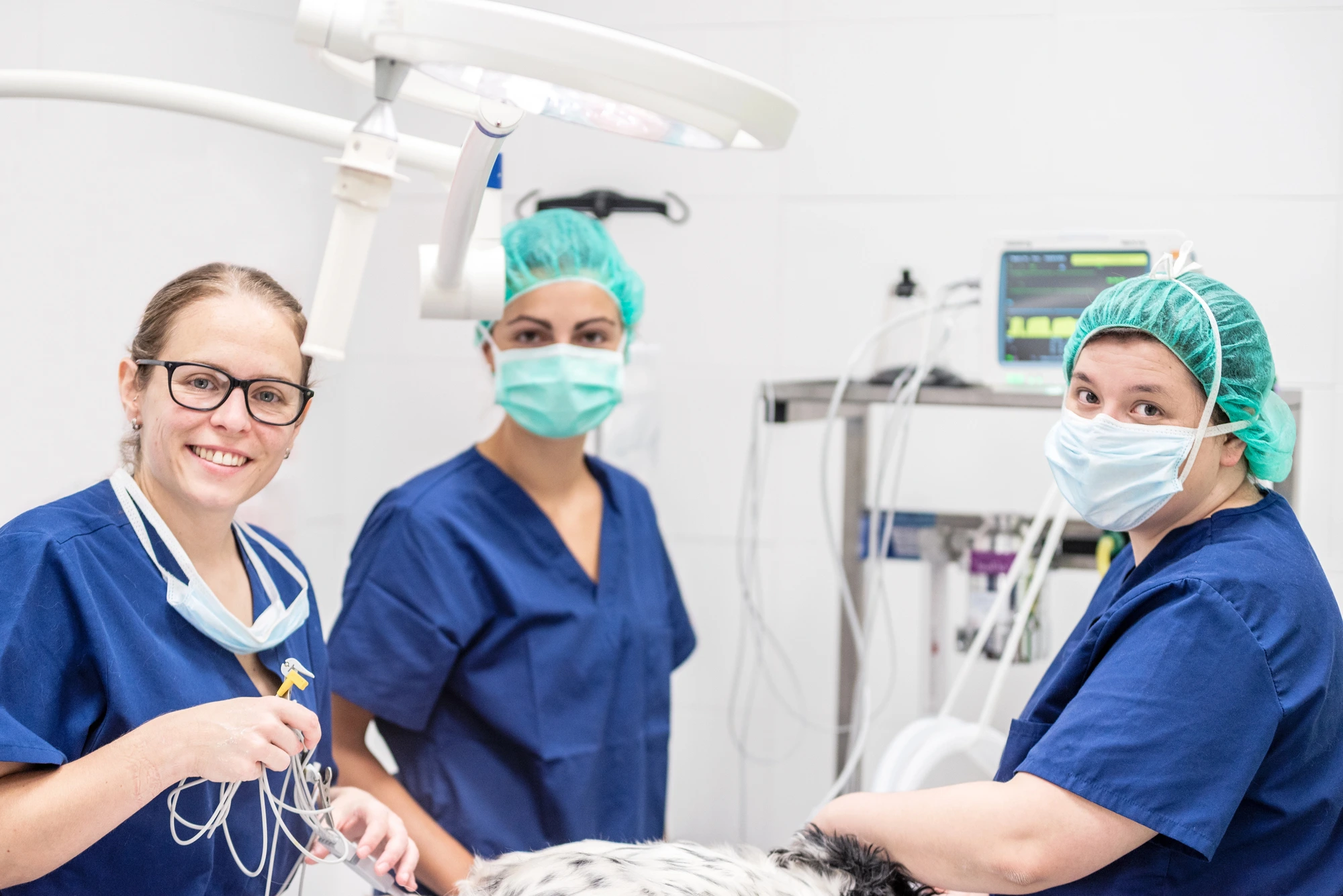How to Prepare Your Veterinary Practice for Sale Without Disrupting Your Team