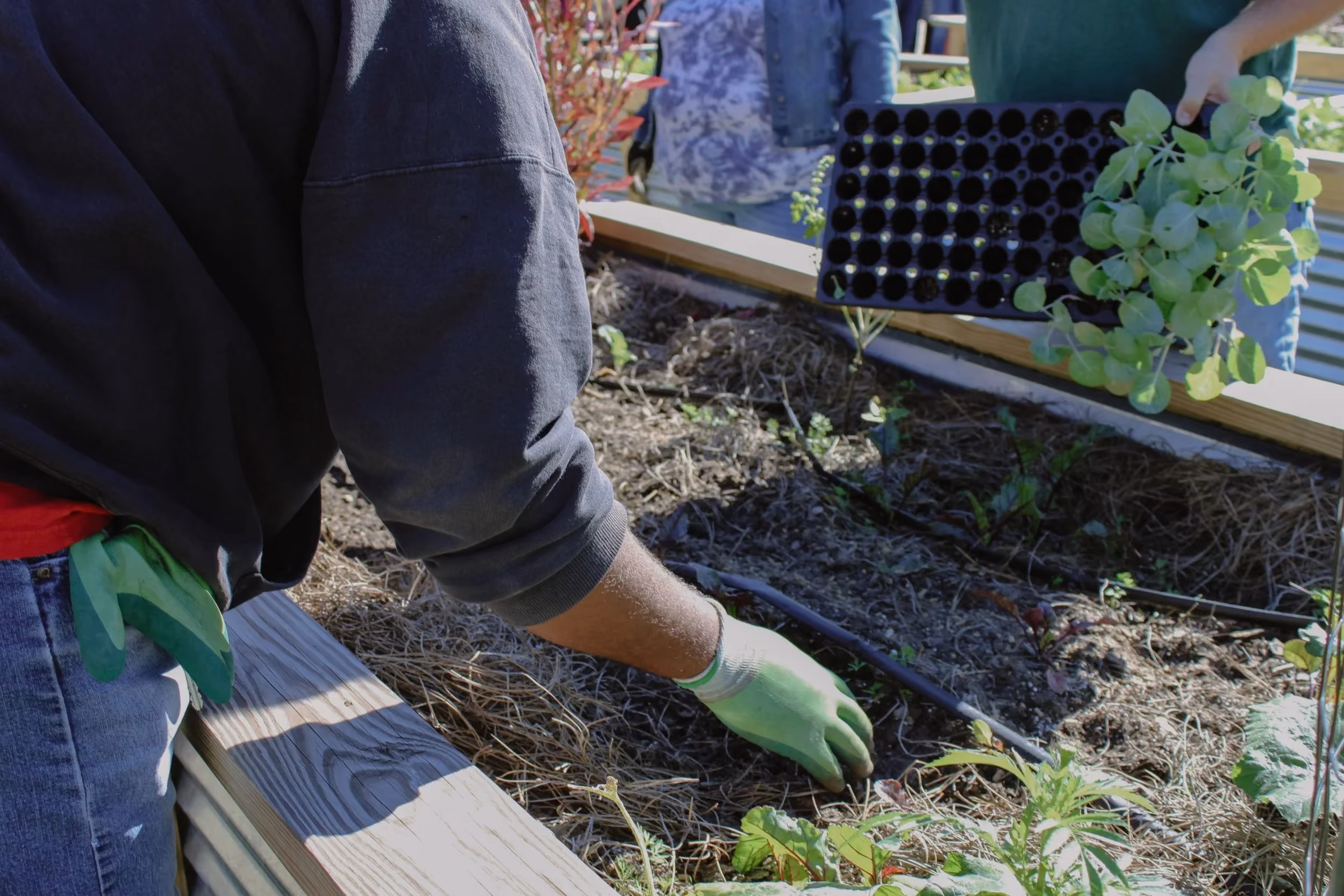 Raised garden beds at an EBRPHA community